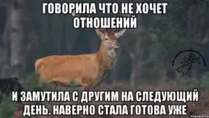 Парень не хочет отношений но хочет общаться