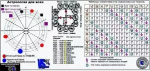 Мужчина телец тигр характеристика в любви совместимость