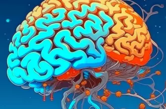 Введение в психологию: основные понятия и теории Введение в психологию: основные понятия и теории